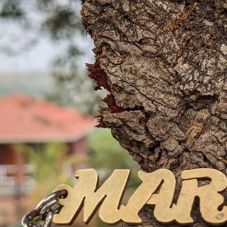 NarsingeMars Jungle Adventure Stud Farm With Private Jacuzzi别墅 外观 照片