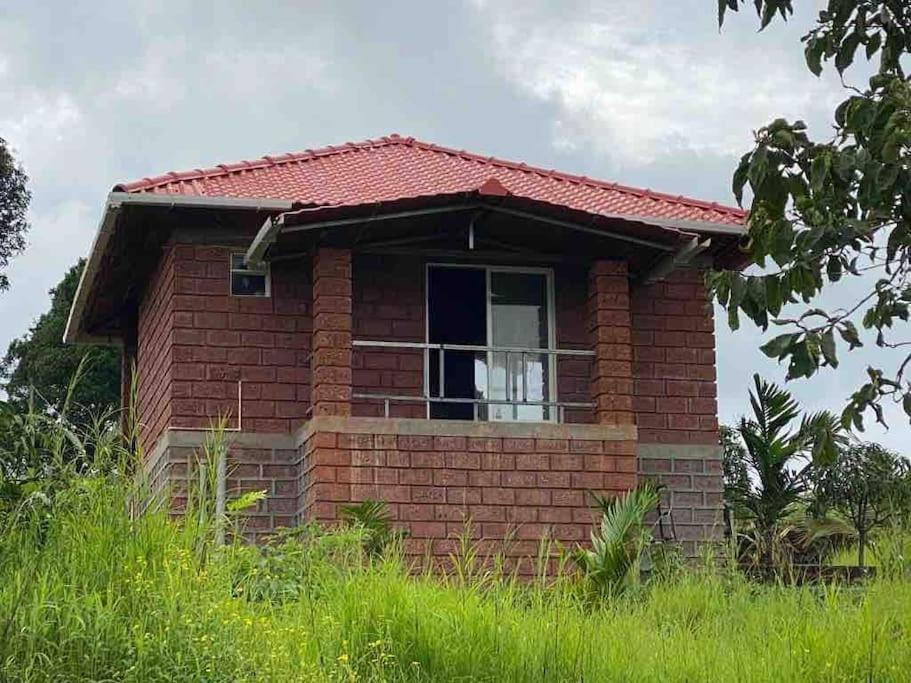 NarsingeMars Jungle Adventure Stud Farm With Private Jacuzzi别墅 外观 照片