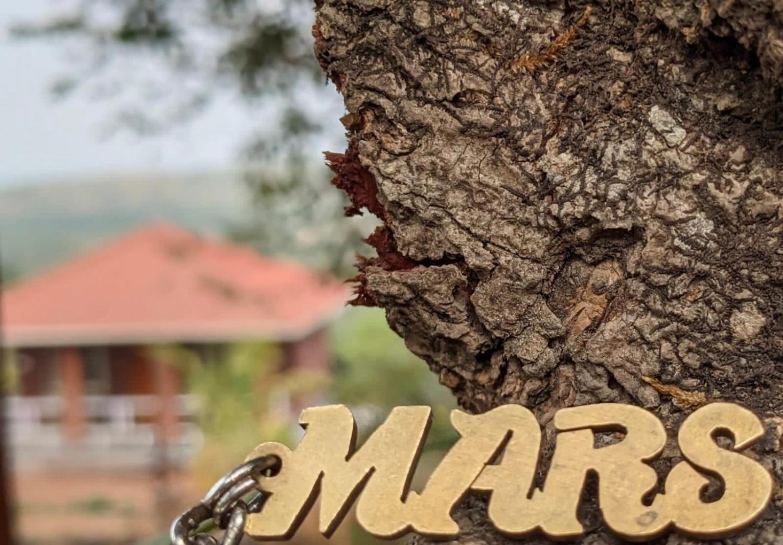 NarsingeMars Jungle Adventure Stud Farm With Private Jacuzzi别墅 外观 照片