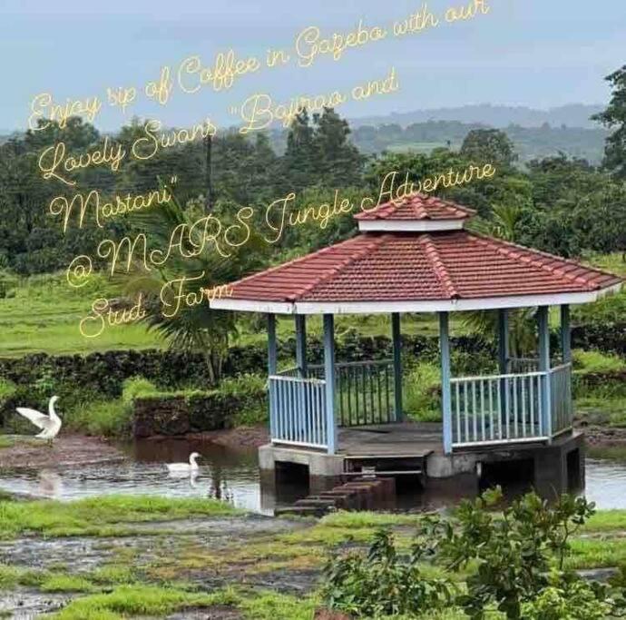 NarsingeMars Jungle Adventure Stud Farm With Private Jacuzzi别墅 外观 照片